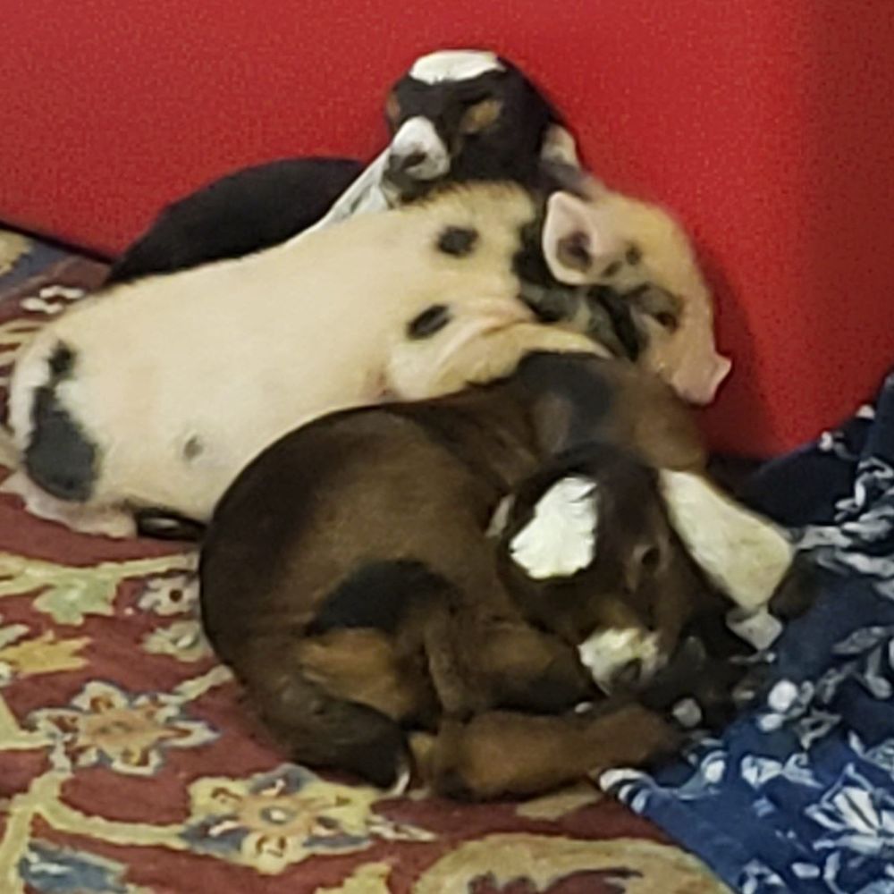 Meet your Posher, Jenny